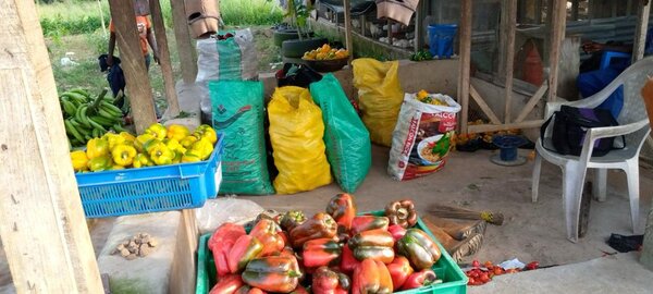 Market storage facility with fresh produce demonstrating climate justice and farmer livelihoods