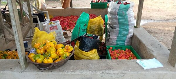 Market storage facility with diverse fresh produce advancing climate justice and farmer livelihoods